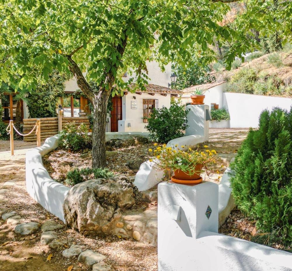 Pensjonat Cortijo De Ramon Cortijos Nuevos Zewnętrze zdjęcie